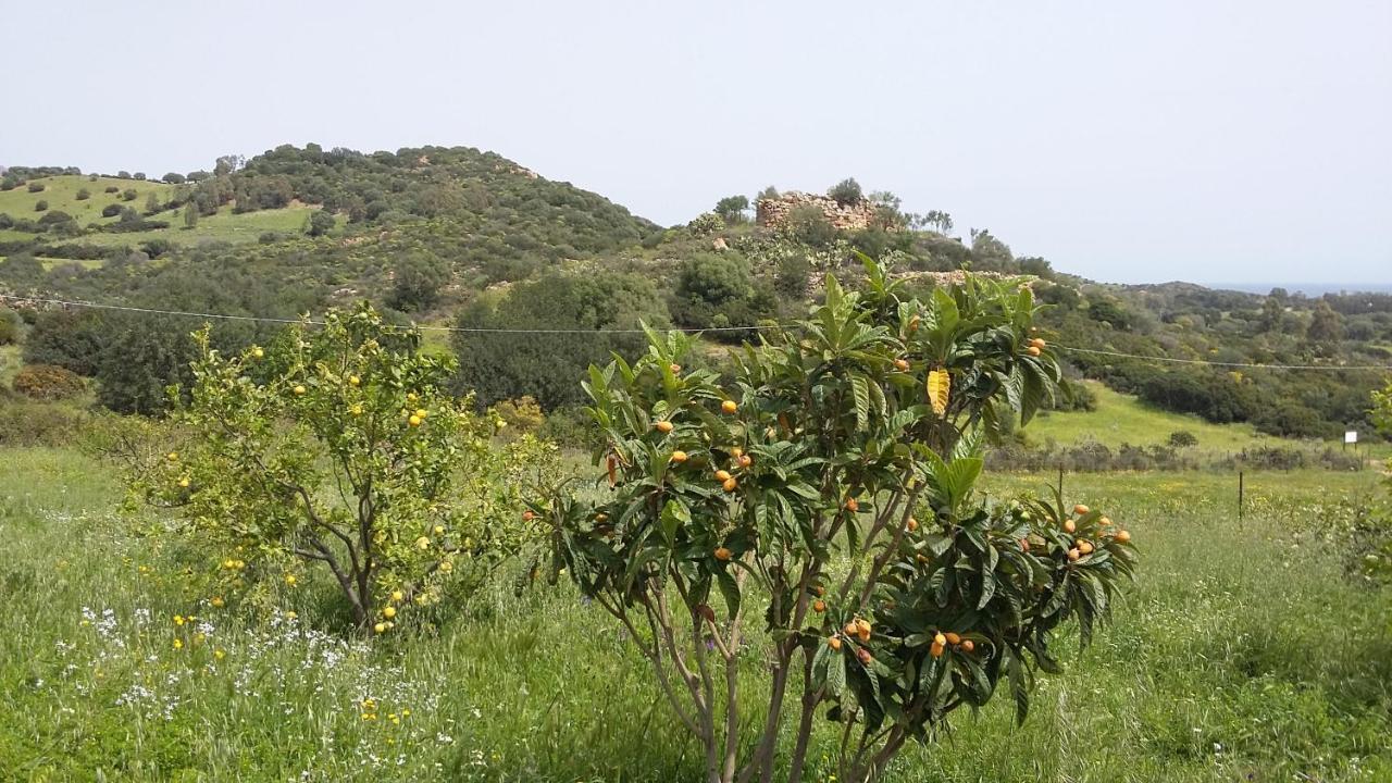 La Casetta Rosa 테르테니아 외부 사진